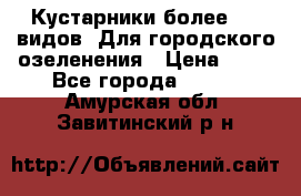 Кустарники более 100 видов. Для городского озеленения › Цена ­ 70 - Все города  »    . Амурская обл.,Завитинский р-н